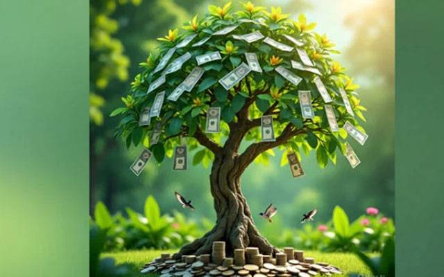وہ درخت جس پر پھل نہیں بلکہ ’’پیسے‘‘ اُگتے ہیں؟