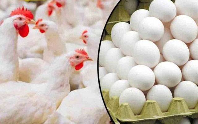 چکن گوشت اور انڈوں کی قیمتوں میں اضافہ