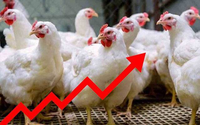 برائلر گوشت کی قیمتوں میں اضافہ، صارفین پریشان