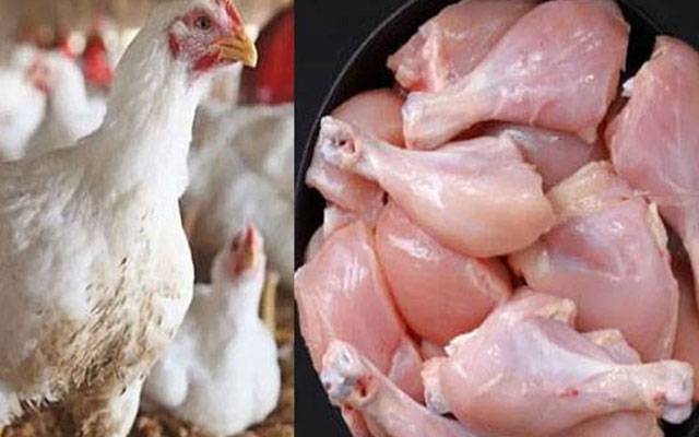 برائلر گوشت کی قیمت میں کمی 