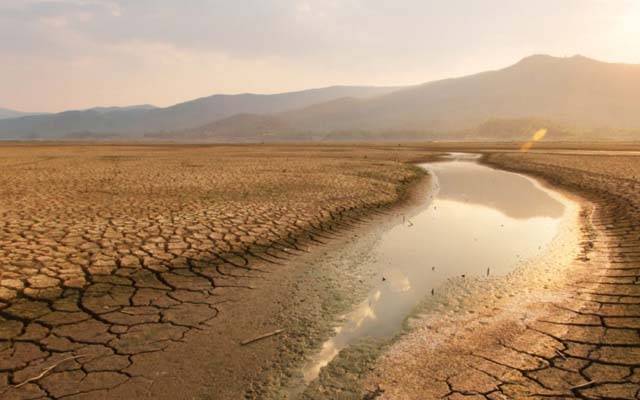 چولستان ؛ بارش نہ ہونے پر ممکنہ خشک سالی کا خدشہ 
