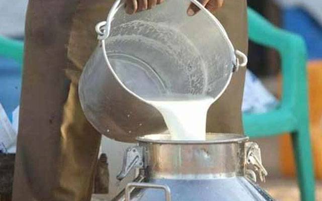 شہر میں دودھ و دہی کی مہنگے داموں فروخت جاری