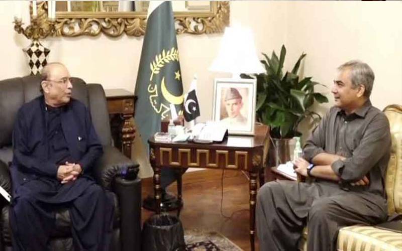 صدرِ مملکت سے وزیر داخلہ محسن نقوی کی ملاقات،ملکی صورتحال پر تبادلہ خیال 