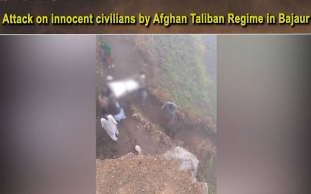 افغان طالبان کی باجوڑ میں شہری آبادی پر مارٹر گولہ باری، 4 بھائی شہید 