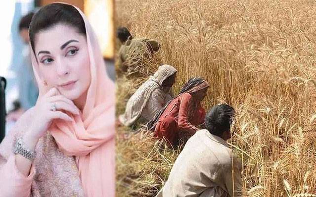مریم نواز کا خوشحال کاشتکار پروگرام: زرعی پیداوار اور سہولتوں میں اضافہ