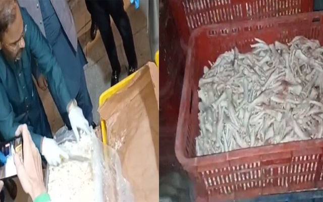 3ہزارکلوناقص، باسی فنگس چکن، گوشت تلف، 5لاکھ جرمانہ عائد 