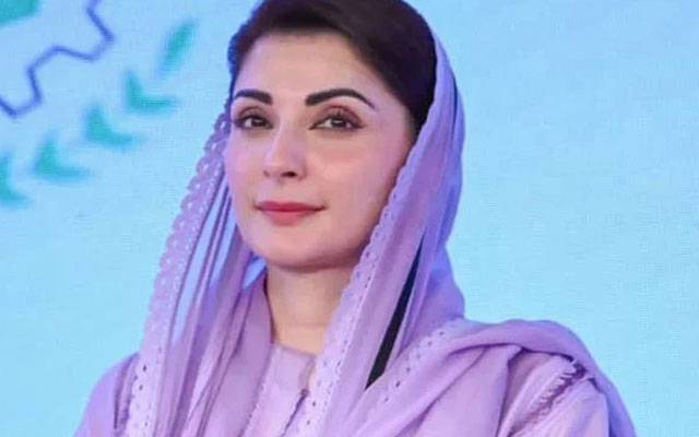 زیادہ سے زیادہ درخت لگائیں: وزیراعلیٰ مریم نواز کی عوام سے اپیل