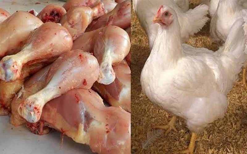 کوئٹہ میں مرغی کے گوشت کی قیمتوں میں ہوشربا اضافہ