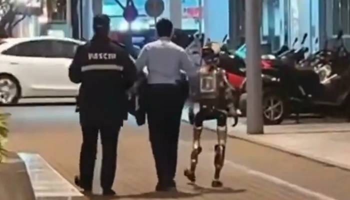 ایک خاتون کو ڈرانے پر پولیس نے روبوٹ کو 'گرفتار' کرلیا