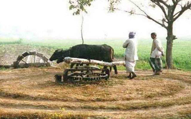  مثالی گاؤں پروگرام ، پنجاب بھر میں سینکڑوں دیہات کی اپگریڈیشن شروع