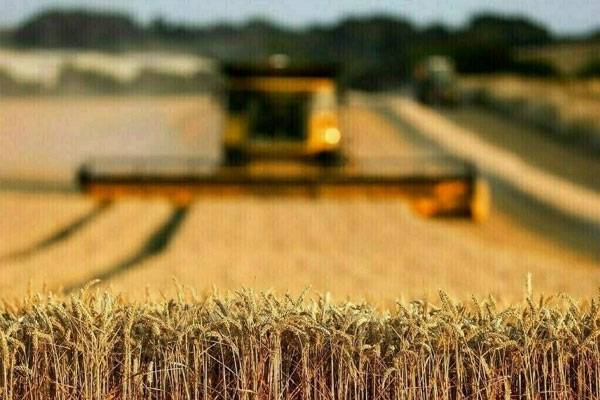 پنجاب میں زرعی اراضی قوانین میں بڑی ترامیم منظور!