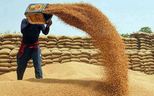  گندم خریداری مہم، کسانوں کیلئے ادائیگی کا نیا سسٹم نافذ