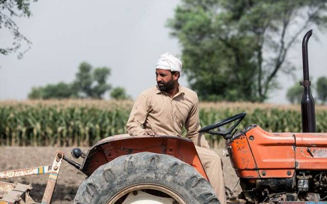 کسانوں کے لیے وزیراعلیٰ پنجاب کا بڑےریلیف پیکج کا اعلان