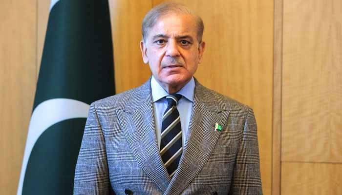 حکومت بزنس ٹو بزنس تعلقات کو فروغ دینے کیلئے ترجیحی بنیادوں پر کام کر رہی ہے:وزیراعظم