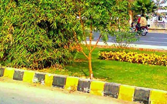 حالیہ بارشوں میں واسا اور پی ایچ اے کا پول کھل گیا ؛ گرین بیلٹس کا لیول ڈاؤن نہ کیا گیا 