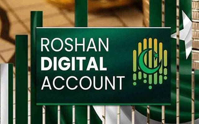روشن ڈیجیٹل اکاؤنٹس کی تعداد میں نمایاں اضافہ