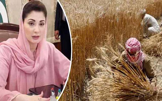 وزیراعلیٰ پنجاب کا گندم کے کاشتکاروں کو6 ارب روپے کا باردانہ مفت دینے کا اعلان
