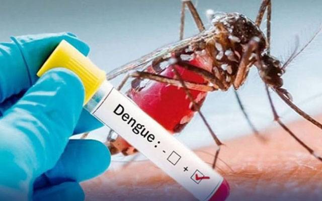 ڈینگی نے پھر سر اٹھا لیا،لاہور سمیت پنجاب بھر میں16  کیسز رپورٹ