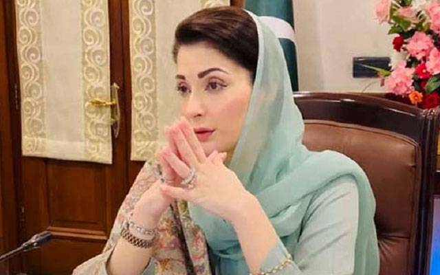 عالمی معیار کی شرمپ فارمنگ پنجاب کو ایکوا کلچر کا مرکز بنائے گی: وزیراعلی مریم نواز