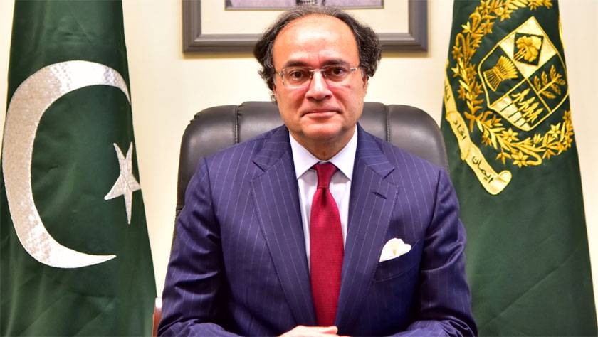 زرمبادلہ کے ذخائر مضبوط ، معیشت مستحکم کرنے پر توجہ ہے: وزیر خزانہ