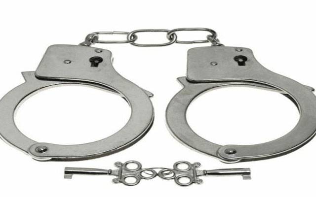  انسانی اسمگلنگ اور ویزا فراڈ میں ملوث دو ملزمان گرفتار