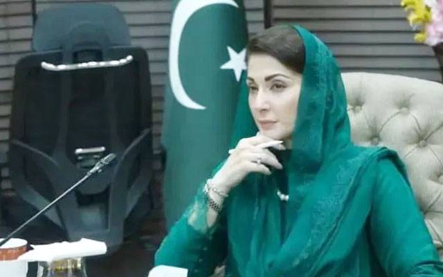 کتے کے کاٹنے سے بچہ جاں بحق، مریم نواز کا غم و غصے کا اظہار