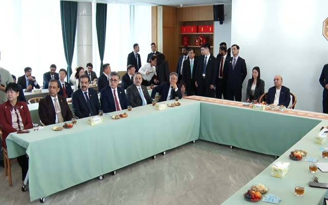 صدرمملکت آصف علی زردری کا چانگشا میں حنان ٹی گروپ کمپنی لمیٹڈ کا دورہ