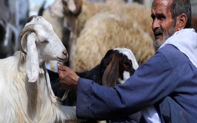 عید الاضحیٰ 27 مئی کو منائے جانے کا قوی امکان