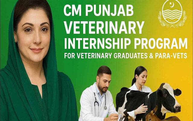  نوجوانوں کے لیے سنہری موقع, ماہانہ 40 سے 60 ہزار وظیفہ ملے گا