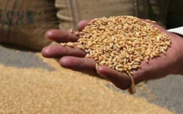 فلور ملز کا نئی گندم کی خرید کے بعد گرائنڈنگ شروع کرنے کا فیصلہ