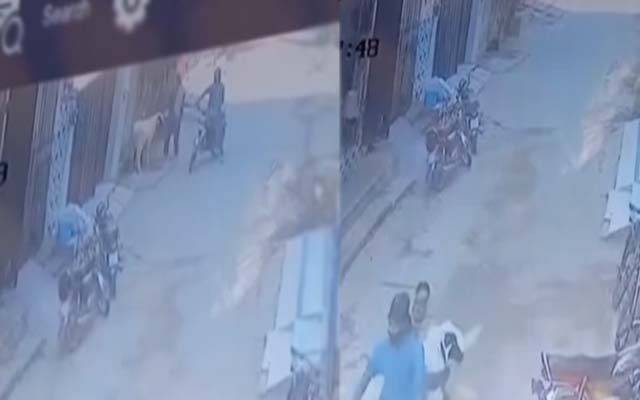  قربانی کے جانور بھی غیر محفوظ، شہری کا بکرا چوری 