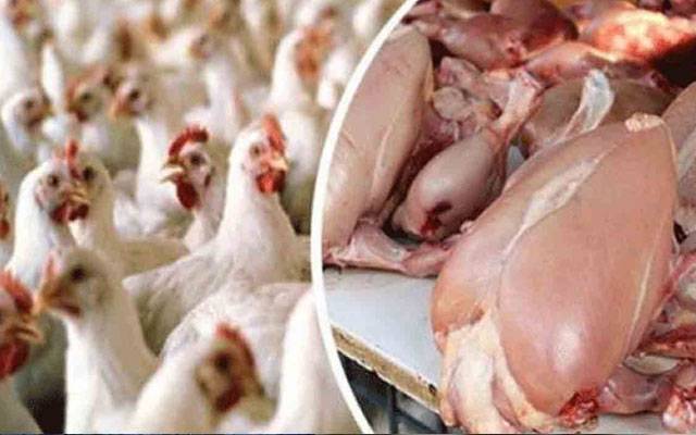  برائلر گوشت کی قیمتوں میں کمی