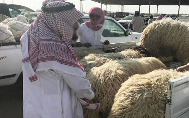 عازمین حج کیلئے قربانی کے اخراجات کی تفصیلات سامنے آگئیں