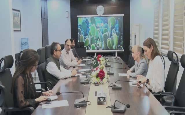 حکومت مزید بجلی نہیں خریدے گی،پہلے 11 میں سے 3 ڈسکوز کی  نجکاری کر رہے ہیں: وفاقی وزیرتوانائی