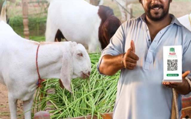  اسٹیٹ بینک کی عیدالاضحیٰ پر 