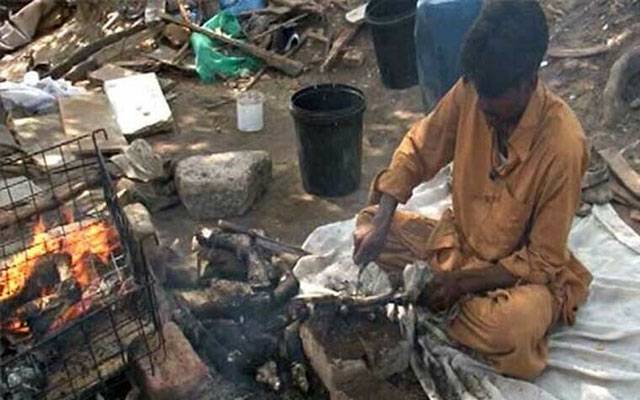 پنجاب بھر میں عیدالاضحیٰ پر سری پائے جلانے اور بھوننے پر پابندی عائد