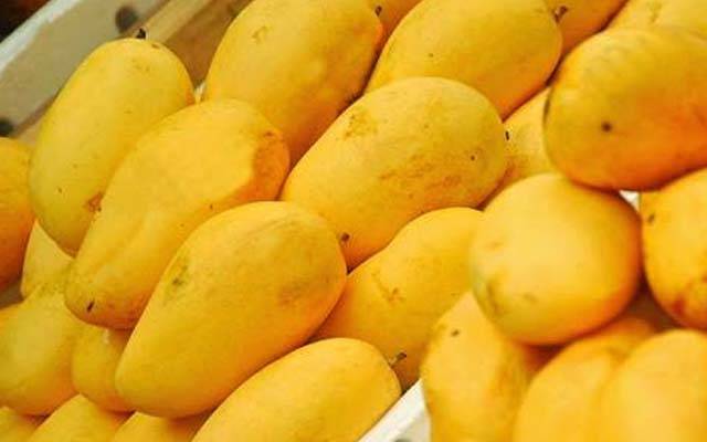 تاجروں کیلئے بڑی خبر؛ ایران میں پاکستانی آم کی برآمدات کیلئے اہم شرط ختم 