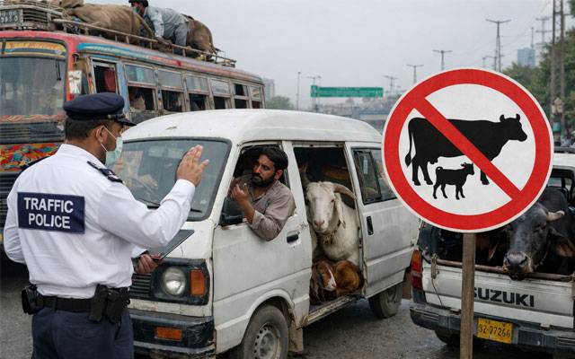 بسوں اور ویگنوں میں قربانی کے جانور لانے پر سخت پابندی عائد: ڈی آئی جی ٹریفک