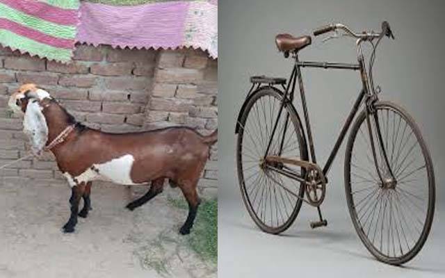 خبردار لاہور کے باسیو۔۔ سائیکل اور مویشی چور گروہ  بدستور متحرک 