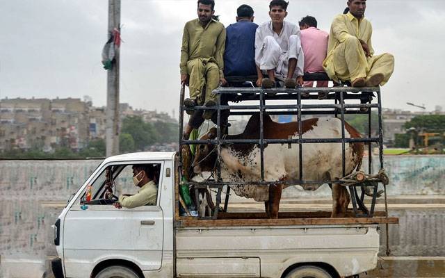 لاہور میں مویشی گاڑیوں کو خصوصی اجازت، نئی ہدایات جاری