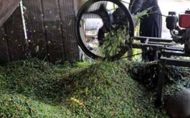 عیدالاضحیٰ : چارہ فروشوں کا کاروبار عروج پر