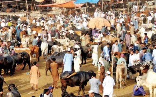  عید الاضحٰی :ضلعی انتظامیہ متحرک،مویشی منڈیوں کی مسلسل مانیٹرنگ