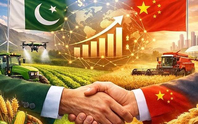 ایکسپو سینٹر: پاک چین سفارتی تعلقات کے 75 سال مکمل ، شاندار تقریب منعقد