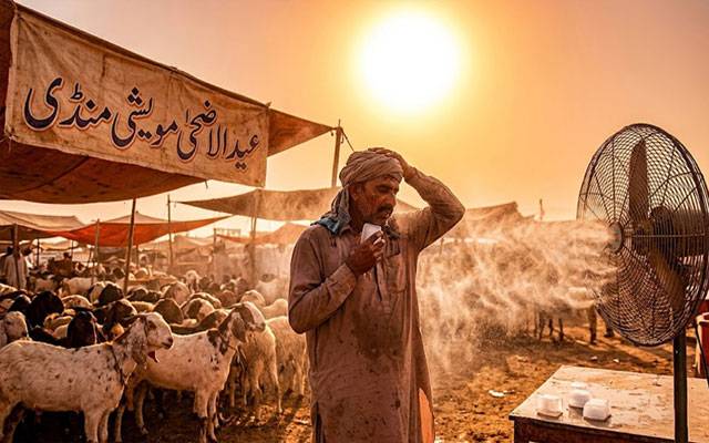پنجاب میں عید الاضحیٰ کی تعطیلات کے دوران شدید ہیٹ ویو کا خدشہ