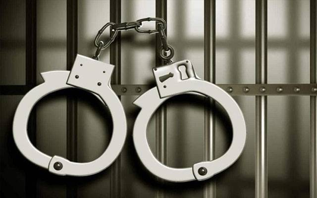 ڈولفن سکواڈ کی سٹاپ اینڈ سرچ کے دوران کارروائیاں، 8 ملزمان گرفتار