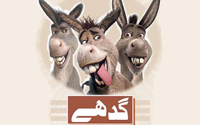  مویشیوں کی تعداد میں اضافہ ،ملک میں گدھے بڑھ گئے