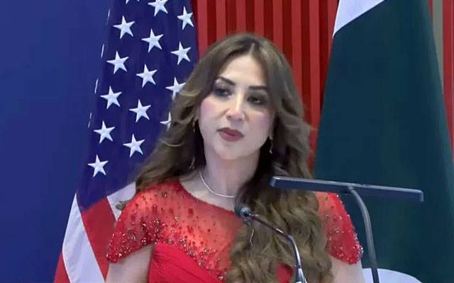 پاکستان اور امریکا کی دوستی مشترکہ مفادات اور تعاون پر مبنی ہے: نیٹلی بیکر