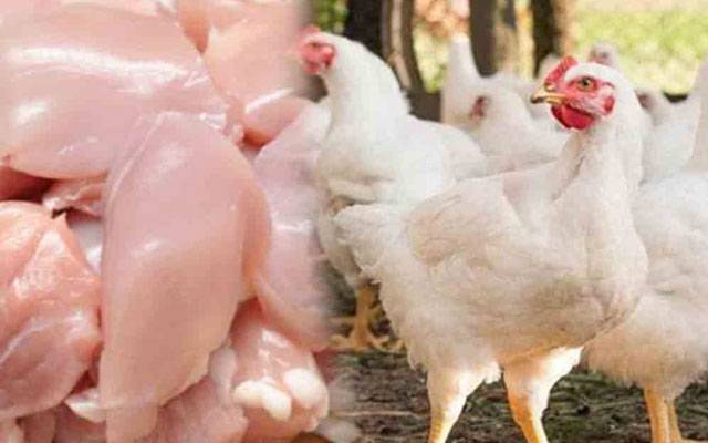 دکانداروں کی من مانیاں: برائلر گوشت کی مہنگے داموں فروخت جاری