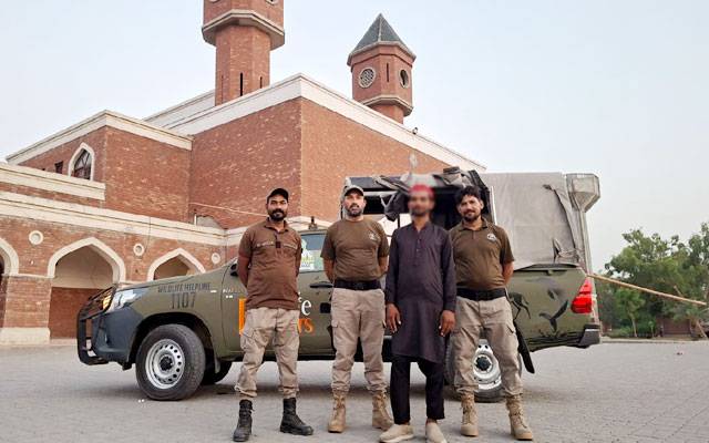 لاہور میں جنگلی پرندوں کی سمگلنگ کی کوشش ناکام، آن لائن تجارت میں ملوث 2 ملزمان گرفتار