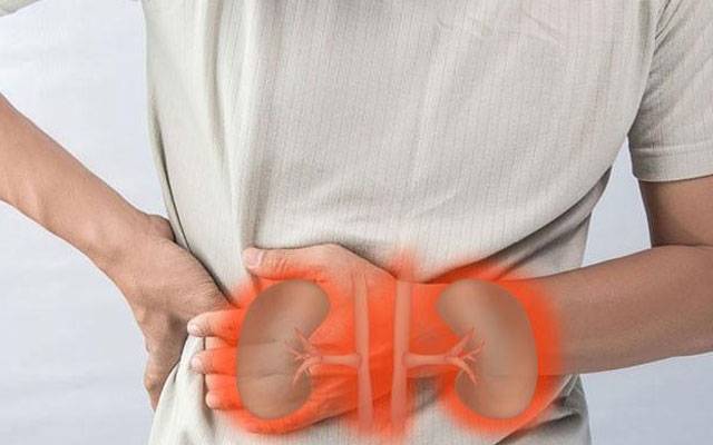 لاہور سمیت پنجاب بھر میں گردوں کے امراض میں خطرناک اضافہ